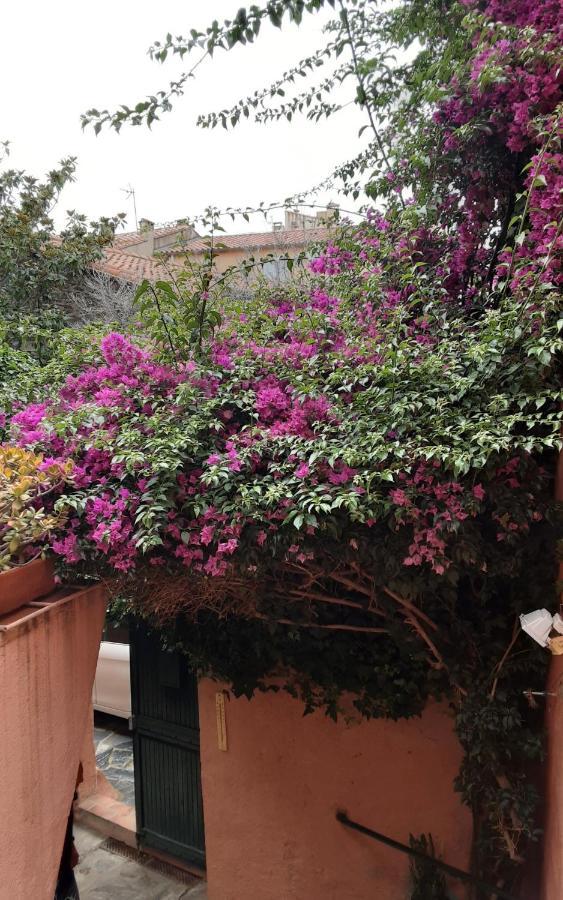 Appartement Typique 2 Etoiles Avec Clim Collioure Exterior foto